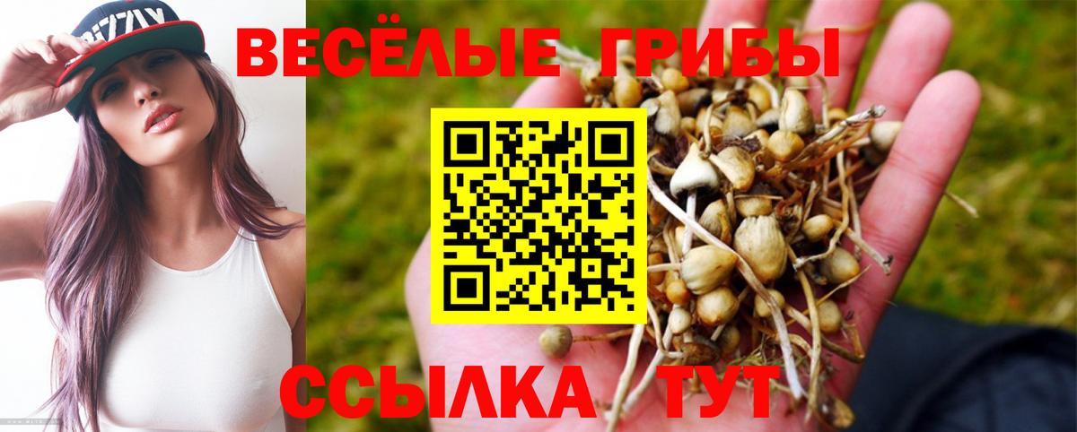 Галлюциногенные грибы ЛСД  Вход с VPN  Усолье-Сибирское 